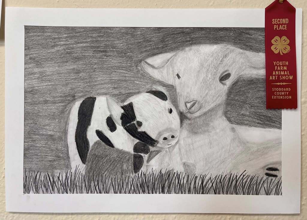 Art show drawing of lambs