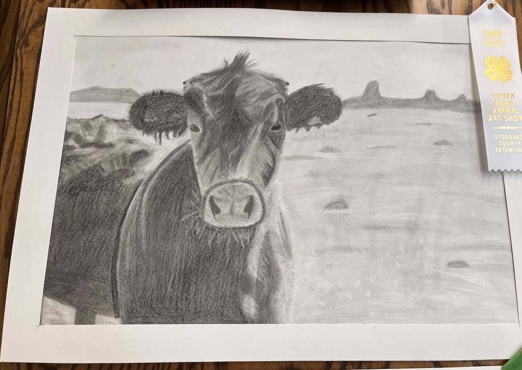 Art show drawing of cow