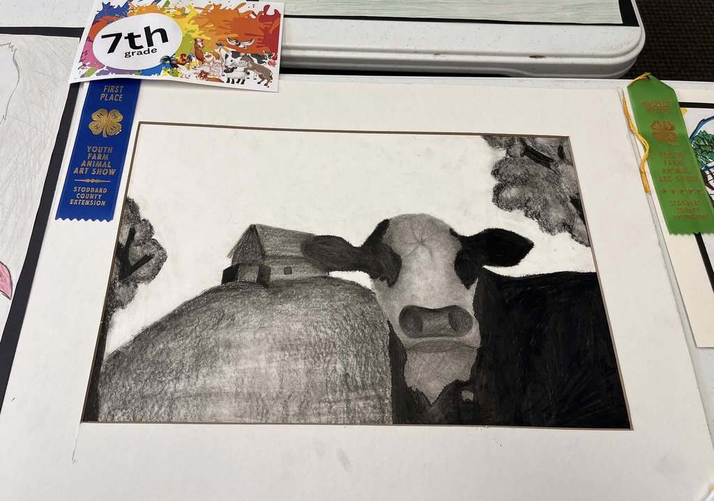 Art show drawing of cow.