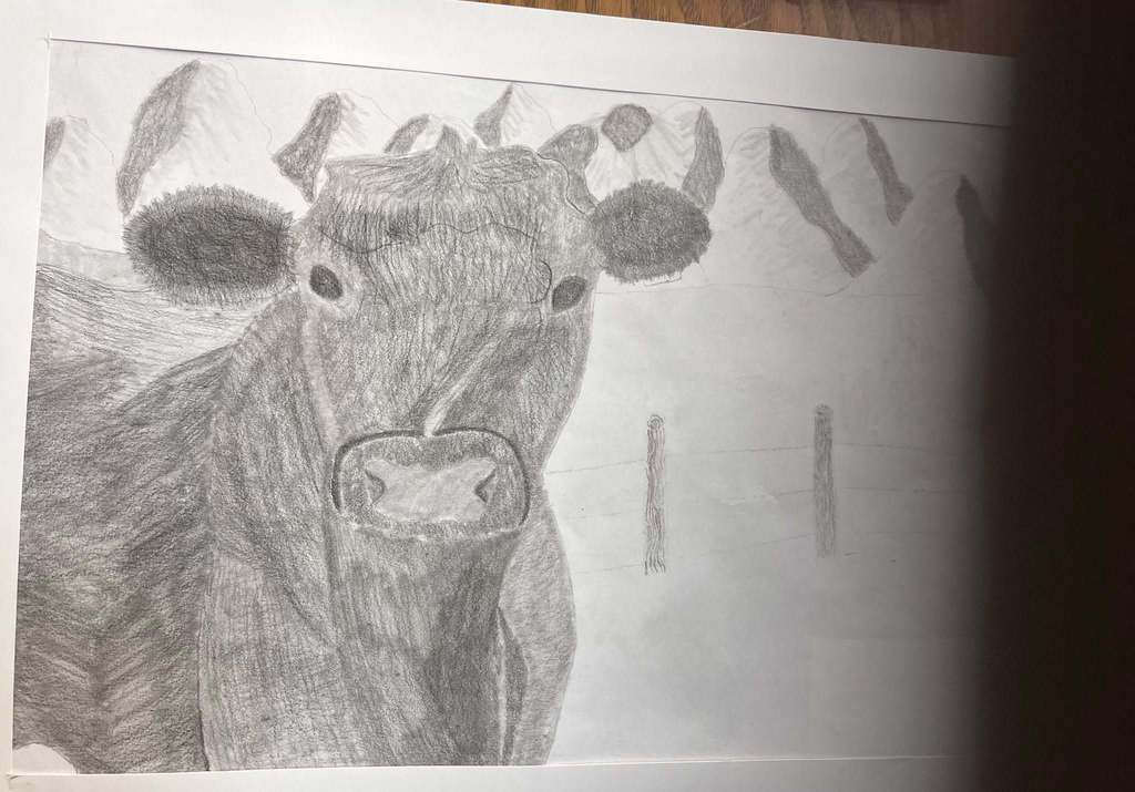 Art show drawing of cow