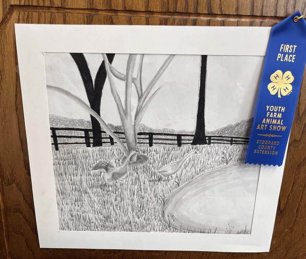 Art show drawing of birds