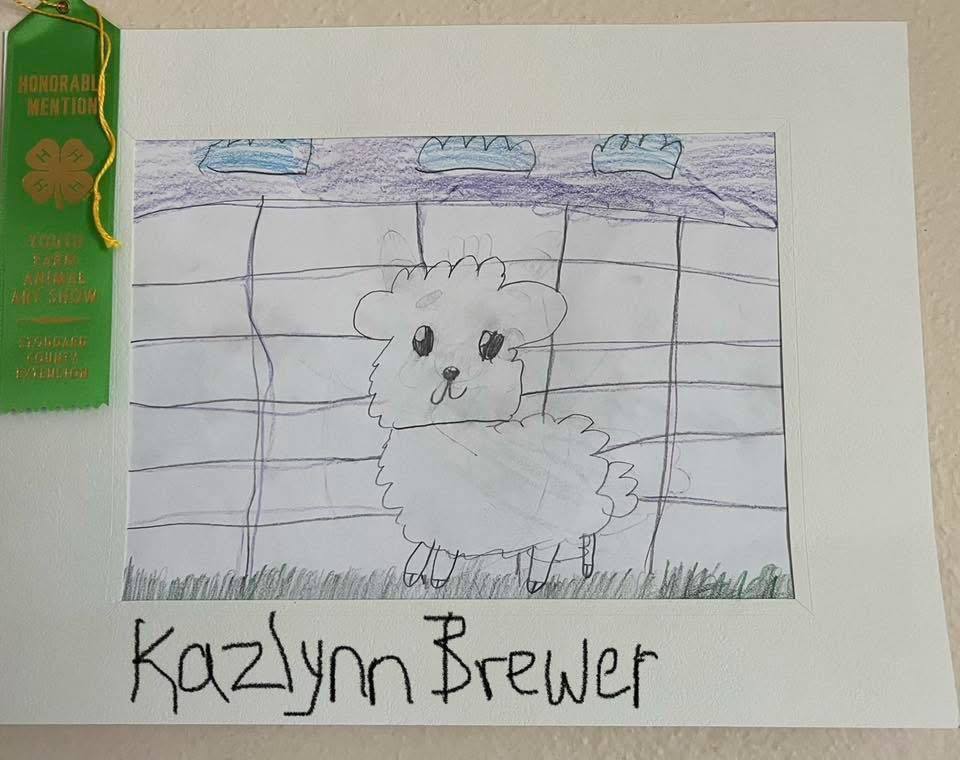 4-H club winners art work. drawing of sheep.