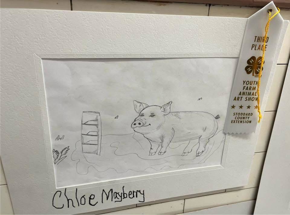 4-H club winners art work. drawing of pig.