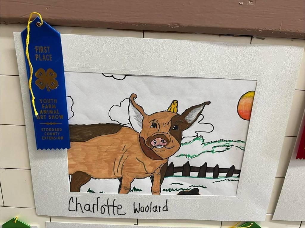 4-H club winners art work. drawing of pig.