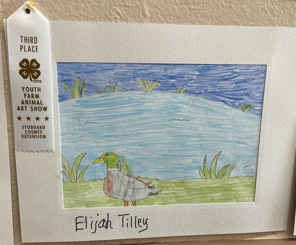 4-H club winners art work. drawing of duck