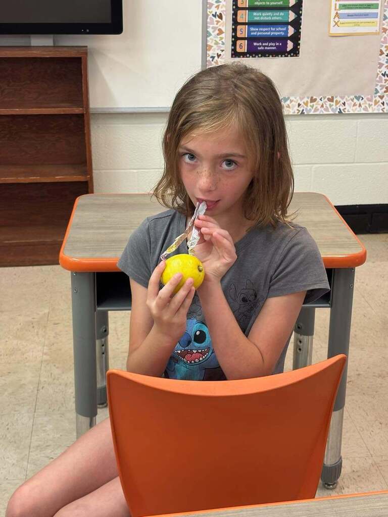 Students had a blast today working with 4-H to create lemon batteries!