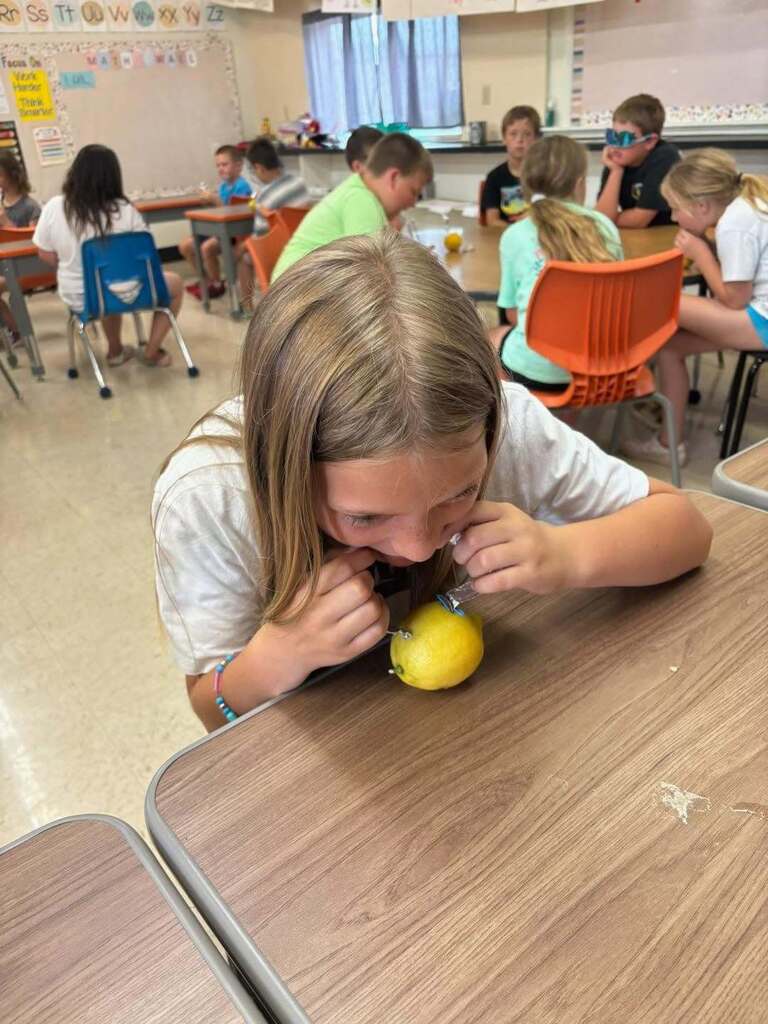 Students had a blast today working with 4-H to create lemon batteries!