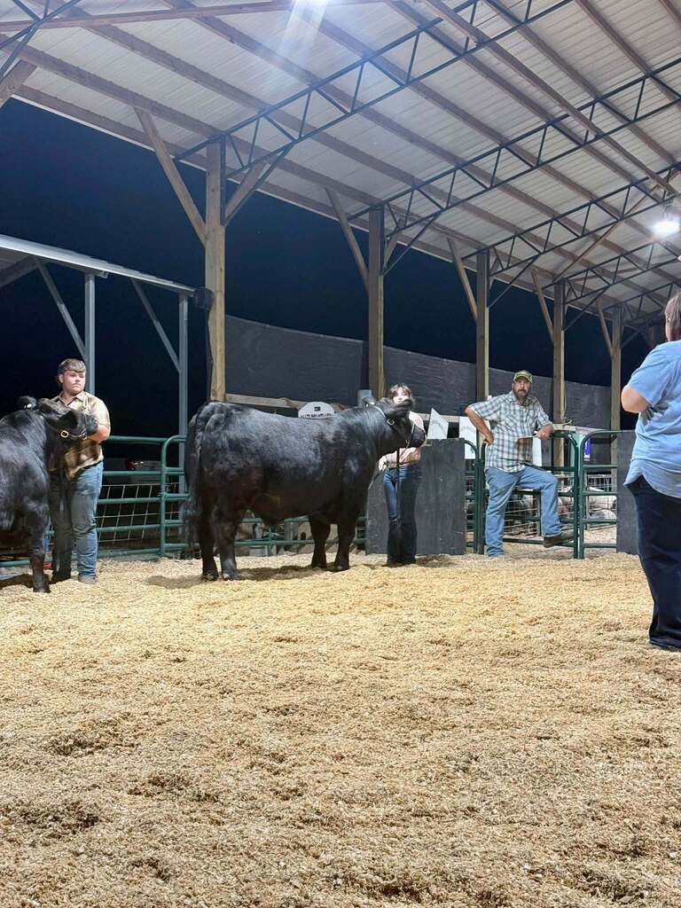 What a week for our Puxico FFA livestock exhibitors at the Stoddard County Fair!  From showmanship and long days at the barn to the Wednesday and Thursday night shows and Saturday morning’s sale, these students put in the work and represented our chapter well. 🌟 Caleb Wagner: Supreme Grand Champion Market Steer and 3rd Light-Medium Market Swine FFA 🌟 Miley Harmon: Supreme Reserve Grand Champion Market Goat, FFA Showmanship Goat, and 2nd medium market swine FFA. ✨ Maylee Stephens: 2nd Heavy Market Steer 4-H and 1st Medium (B) Market Swine 4-H 🐖 Landon Faries: 2nd Heavy Market Swine FFA 🐖 Maggie Reinert: 3rd Medium-Heavy Market Swine FFA 🐖 Lexi Freeman: Heavy Market Swine FFA 🐖 Kelsi Placher: Medium-Heavy Market Swine FFA and FFA Showmanship 🐖 Caden Hemby: Light Market Swine FFA And that’s not even including all of the breeding class accomplishments, or our Puxico 4-H Warriors accomplishments which were just as impressive!  More than the banners and placings, this week was about the time spent feeding, fitting, walking, practicing, learning, and showing up for these animals day after day. I’m proud of the work this group put in and the way they represented Puxico FFA. Congratulations to all of our livestock exhibitors on a great Stoddard County Fair!