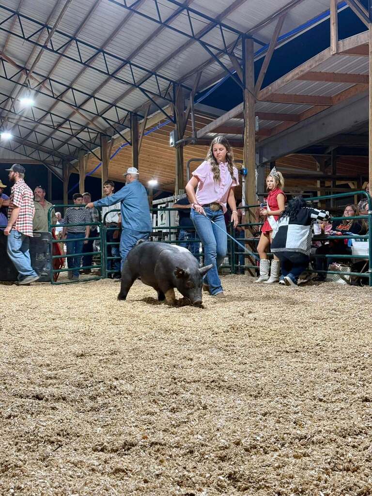 What a week for our Puxico FFA livestock exhibitors at the Stoddard County Fair!  From showmanship and long days at the barn to the Wednesday and Thursday night shows and Saturday morning’s sale, these students put in the work and represented our chapter well. 🌟 Caleb Wagner: Supreme Grand Champion Market Steer and 3rd Light-Medium Market Swine FFA 🌟 Miley Harmon: Supreme Reserve Grand Champion Market Goat, FFA Showmanship Goat, and 2nd medium market swine FFA. ✨ Maylee Stephens: 2nd Heavy Market Steer 4-H and 1st Medium (B) Market Swine 4-H 🐖 Landon Faries: 2nd Heavy Market Swine FFA 🐖 Maggie Reinert: 3rd Medium-Heavy Market Swine FFA 🐖 Lexi Freeman: Heavy Market Swine FFA 🐖 Kelsi Placher: Medium-Heavy Market Swine FFA and FFA Showmanship 🐖 Caden Hemby: Light Market Swine FFA And that’s not even including all of the breeding class accomplishments, or our Puxico 4-H Warriors accomplishments which were just as impressive!  More than the banners and placings, this week was about the time spent feeding, fitting, walking, practicing, learning, and showing up for these animals day after day. I’m proud of the work this group put in and the way they represented Puxico FFA. Congratulations to all of our livestock exhibitors on a great Stoddard County Fair!