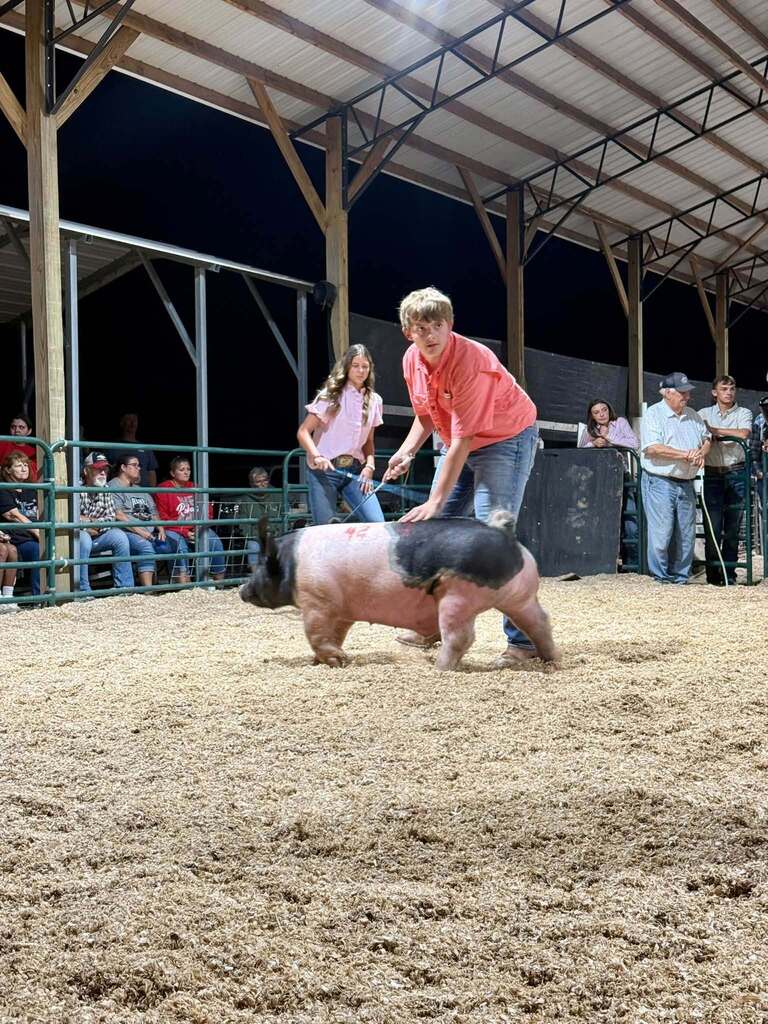 What a week for our Puxico FFA livestock exhibitors at the Stoddard County Fair!  From showmanship and long days at the barn to the Wednesday and Thursday night shows and Saturday morning’s sale, these students put in the work and represented our chapter well. 🌟 Caleb Wagner: Supreme Grand Champion Market Steer and 3rd Light-Medium Market Swine FFA 🌟 Miley Harmon: Supreme Reserve Grand Champion Market Goat, FFA Showmanship Goat, and 2nd medium market swine FFA. ✨ Maylee Stephens: 2nd Heavy Market Steer 4-H and 1st Medium (B) Market Swine 4-H 🐖 Landon Faries: 2nd Heavy Market Swine FFA 🐖 Maggie Reinert: 3rd Medium-Heavy Market Swine FFA 🐖 Lexi Freeman: Heavy Market Swine FFA 🐖 Kelsi Placher: Medium-Heavy Market Swine FFA and FFA Showmanship 🐖 Caden Hemby: Light Market Swine FFA And that’s not even including all of the breeding class accomplishments, or our Puxico 4-H Warriors accomplishments which were just as impressive!  More than the banners and placings, this week was about the time spent feeding, fitting, walking, practicing, learning, and showing up for these animals day after day. I’m proud of the work this group put in and the way they represented Puxico FFA. Congratulations to all of our livestock exhibitors on a great Stoddard County Fair!