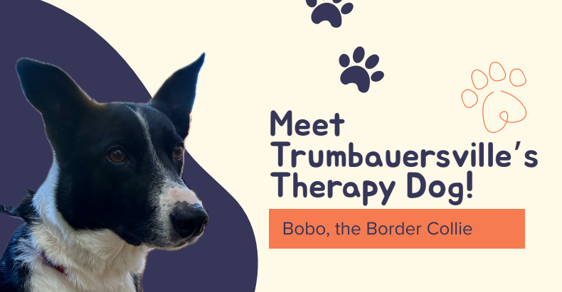 Bobo, Trumbauersville's Therapy Dog!