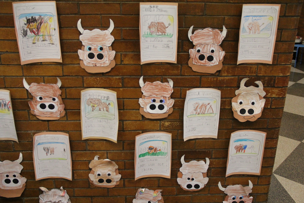 The Kindergarteners at QE are currently learning about the Lakota Sioux—the indigenous people of the Great Plains, and how the buffalo were essential to their survival and spiritual life. They learned that the buffalo were their primary source of food, clothing, and shelter. Students created teepees made of sticks and canvas and created artwork to decorate the halls of QE.