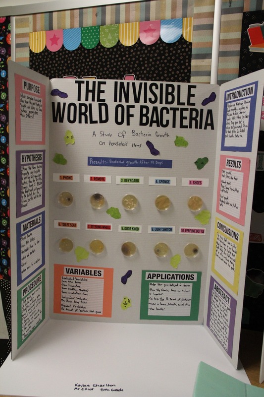 Student display on the invisible world of bacteria