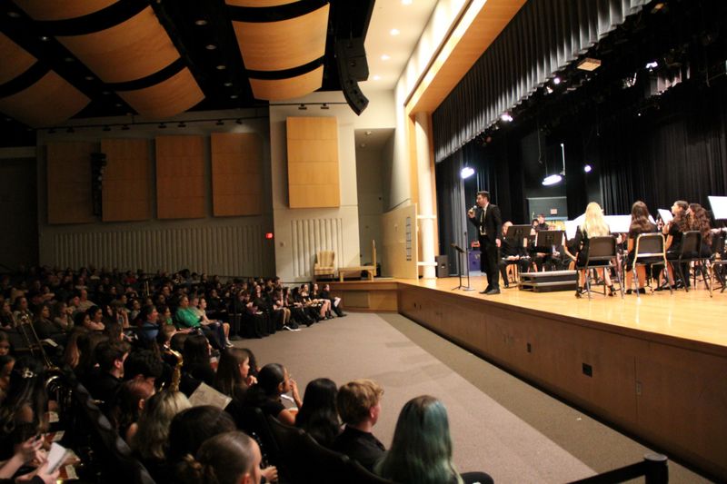 Mr. Sedlacsik addressing the crowd