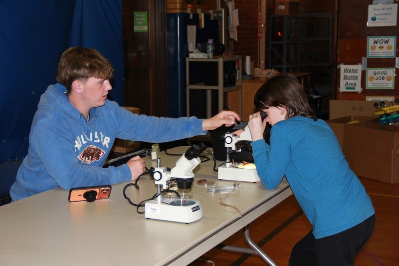 A high school student assists a child with the microscope as they examine a hornet