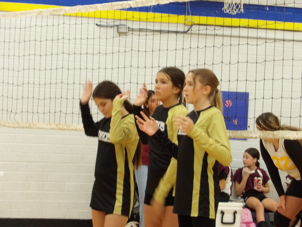 Volleyball