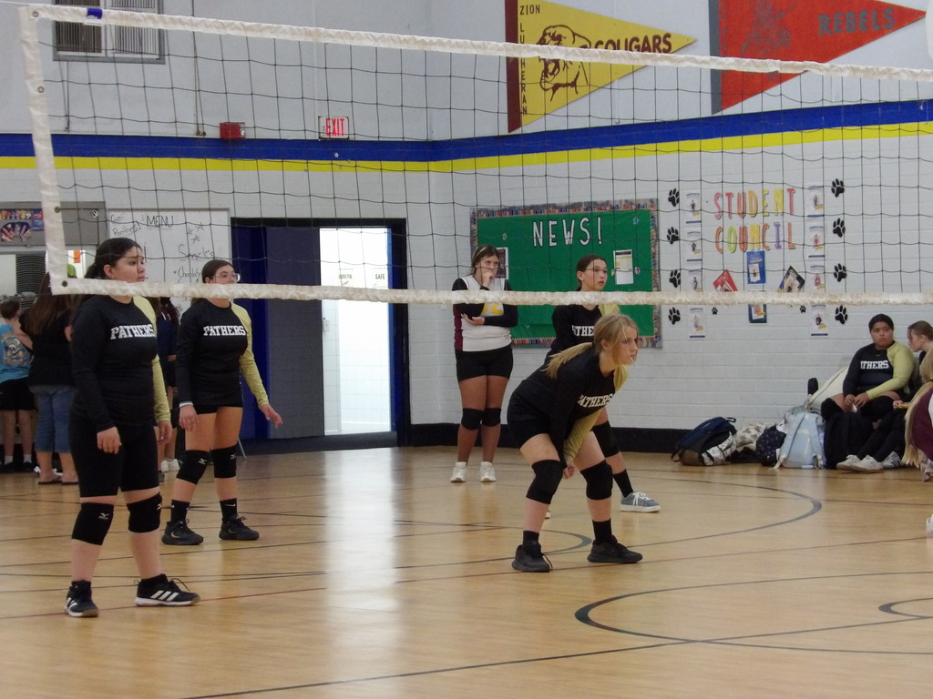 Volleyball