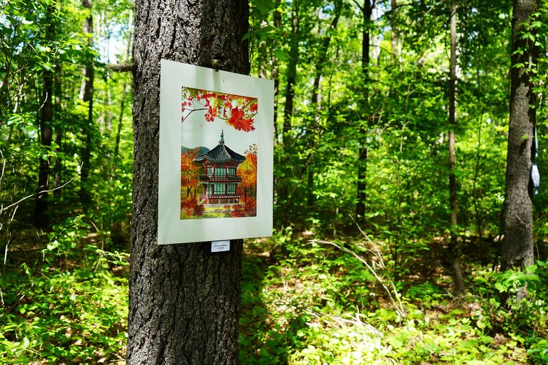 Artwork on display in the woods.