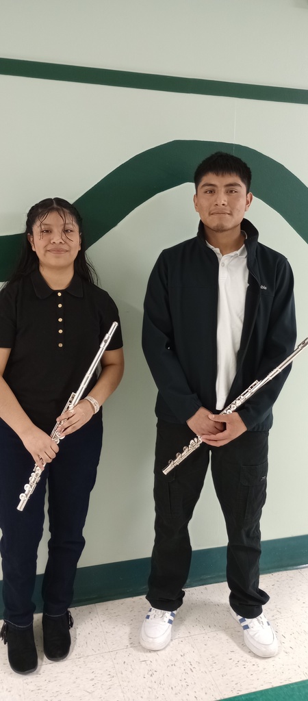 Adjudication Individual performers 