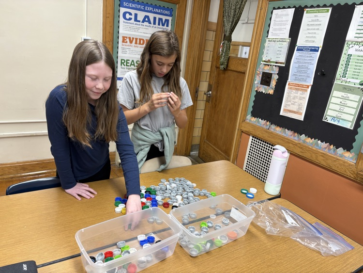 5th graders cleaning plastic lids for our bench project.