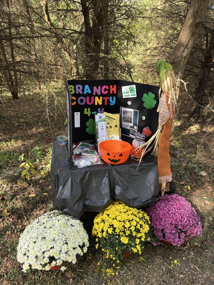 fall