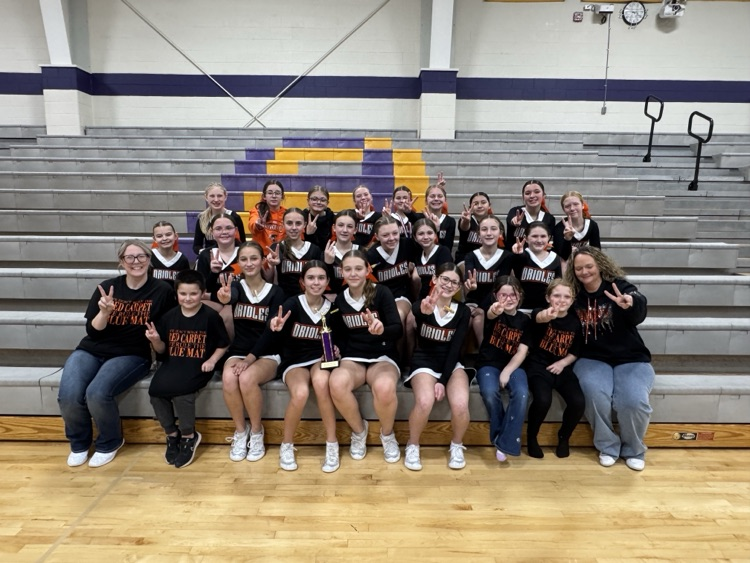 QMS Competitive Cheer Team