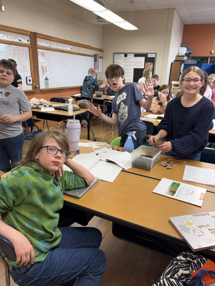 5th Grade Terrariums