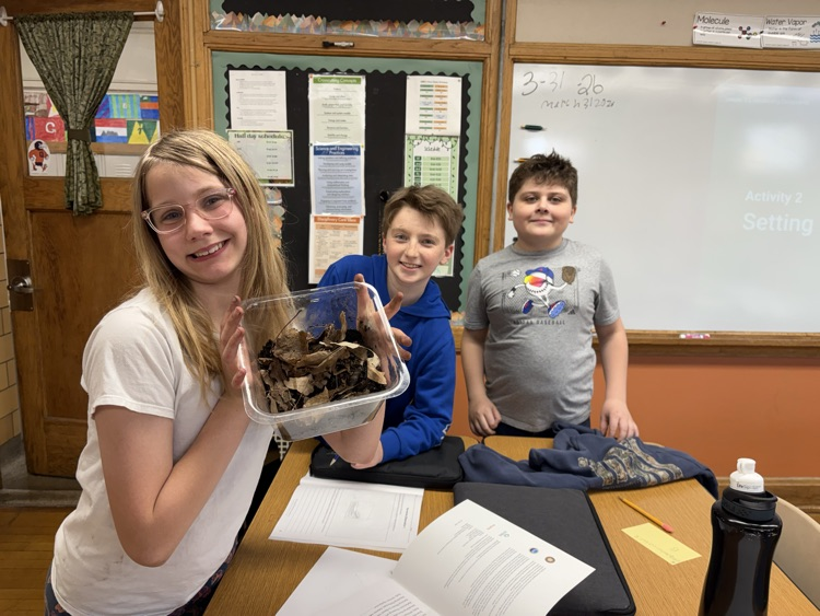 5th Grade Terrariums