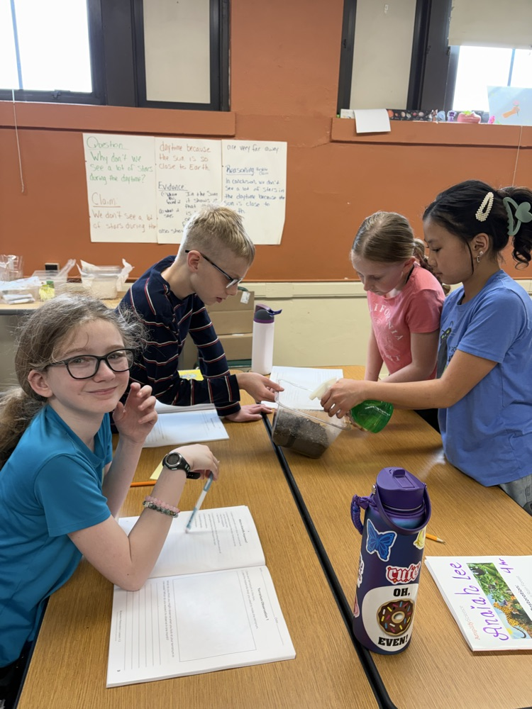 5th Grade Terrariums