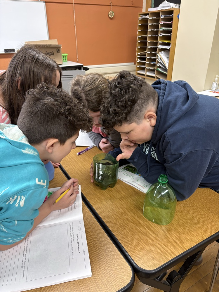 5th Grade Terrariums