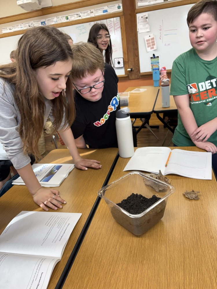 5th Grade Terrariums