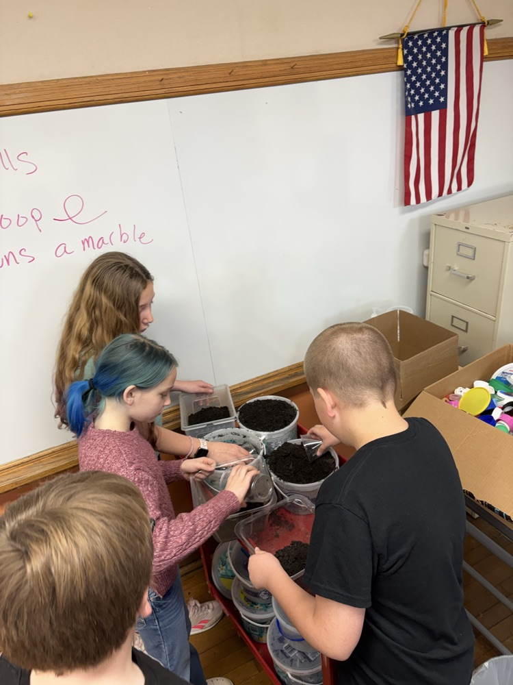5th Grade Terrariums