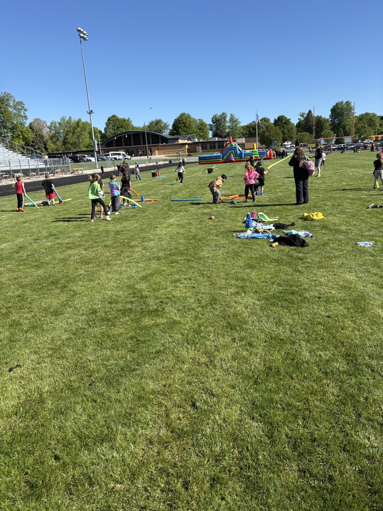 field day