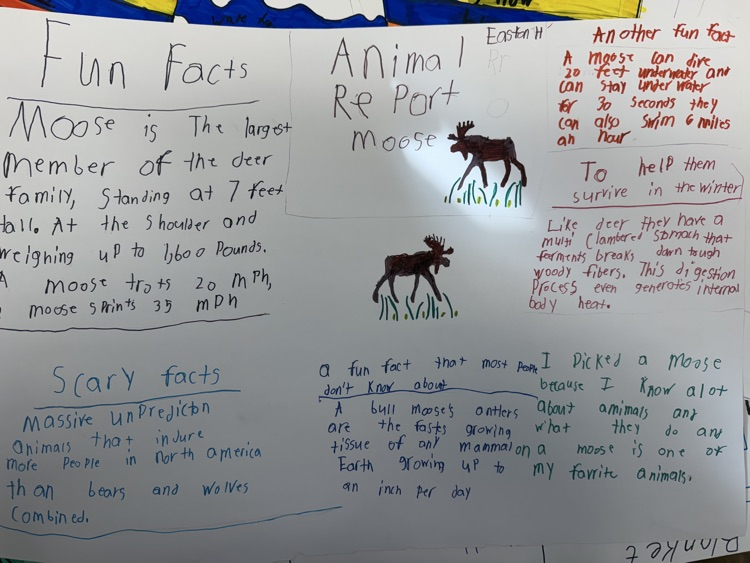 Hatchet animal poster