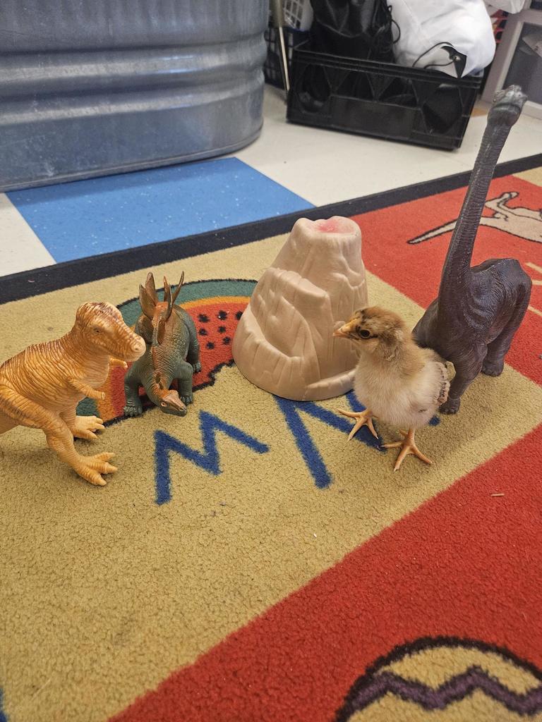 Dinosaurs