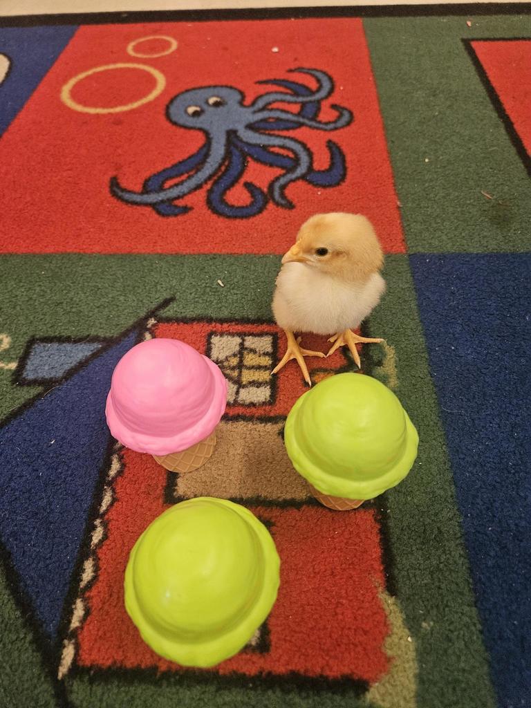 ice cream party