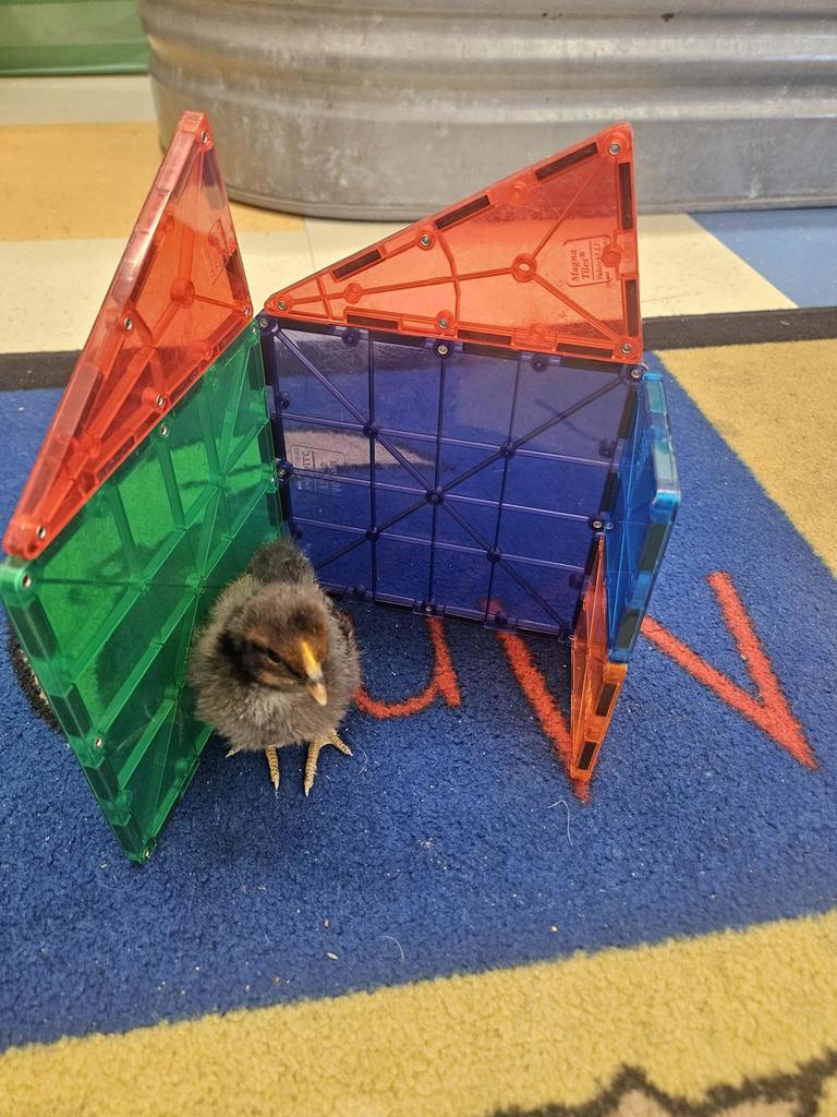 tiny house