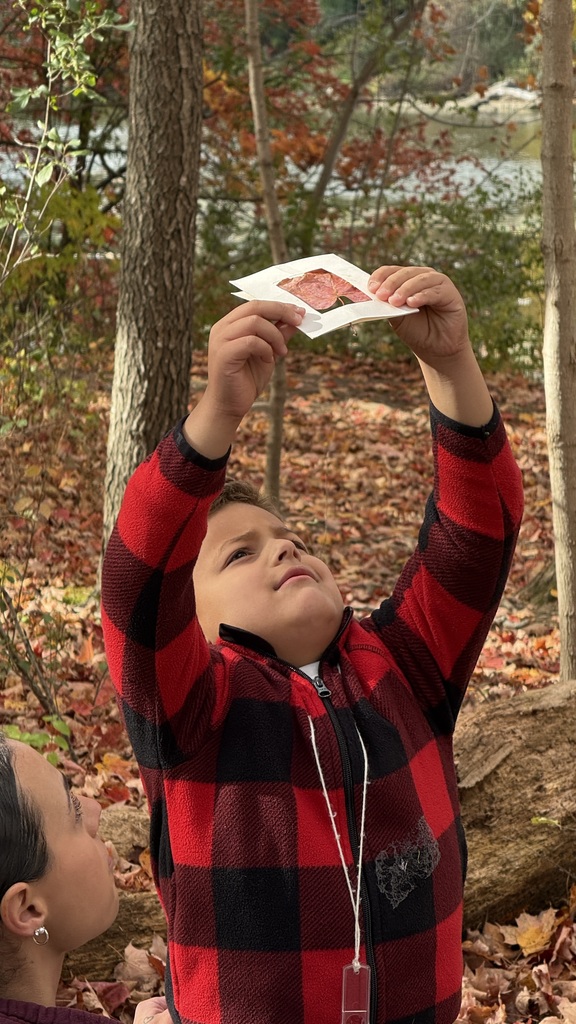 A student holding a leaf up to the bright sky to see the structure of the leaf.