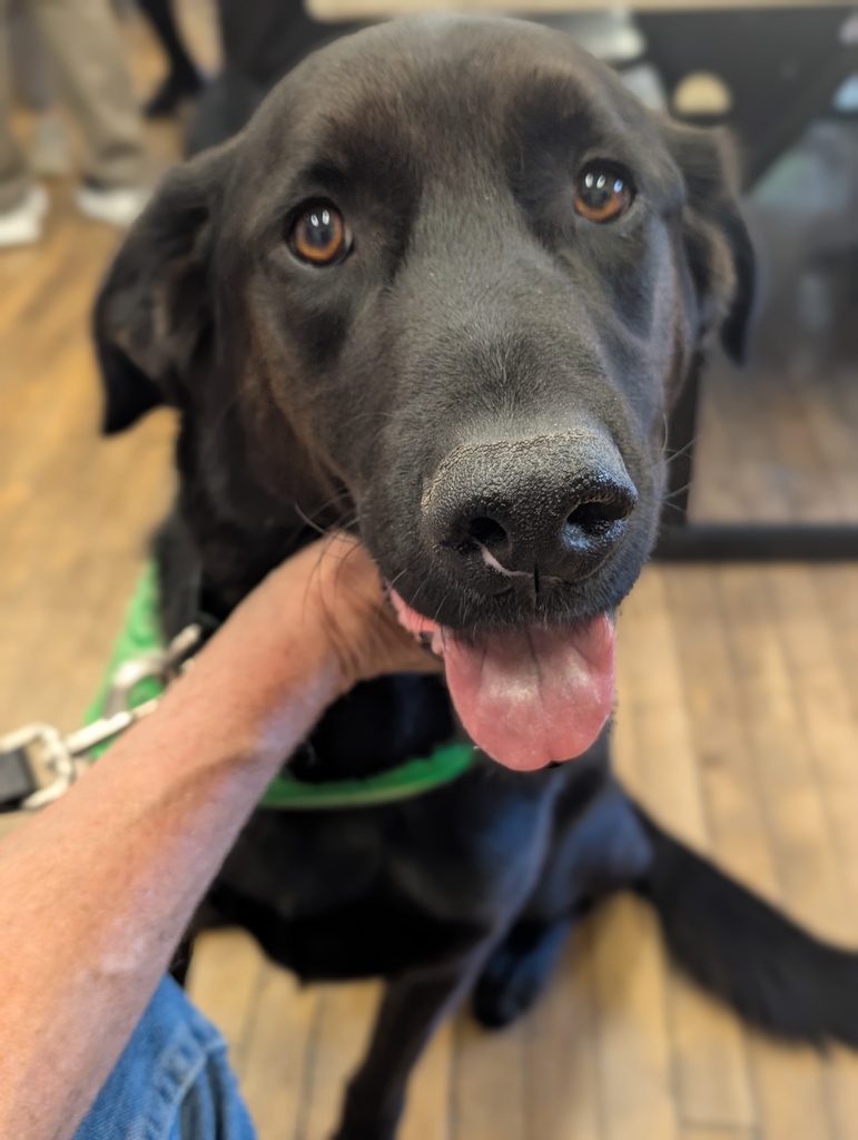 Pepper poses for a photo.