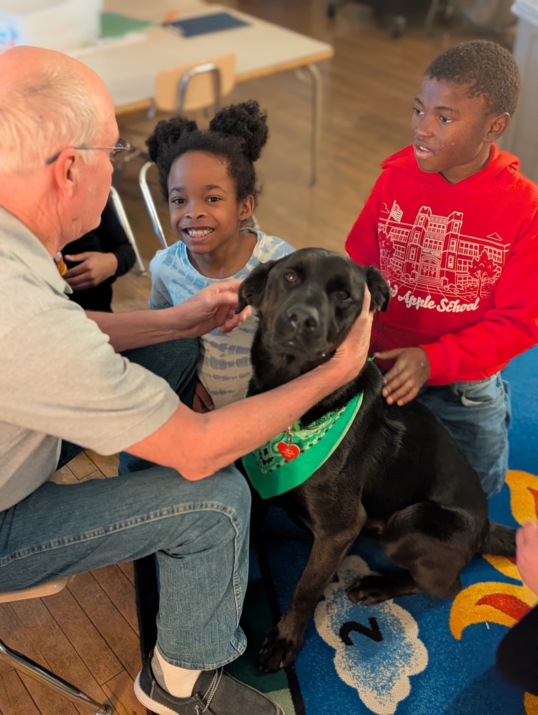 Pepper the Therapy Dog's visit to Red Apple School