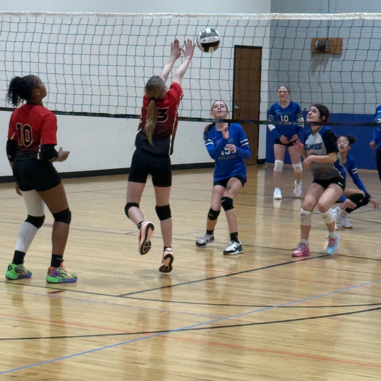 A block at the net