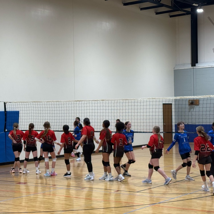 Players line up to shake hands for a good game