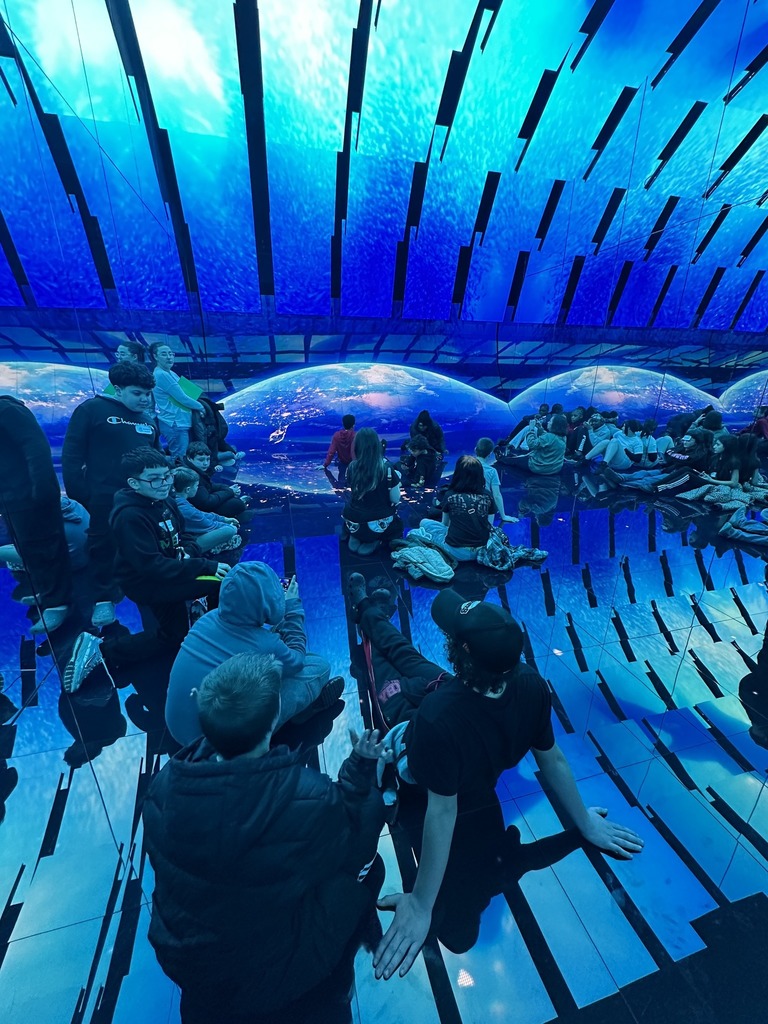 Students on a field trip.