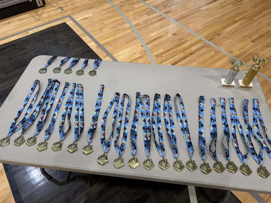 Medals and trophies for the Black History Bee Participants and winners.