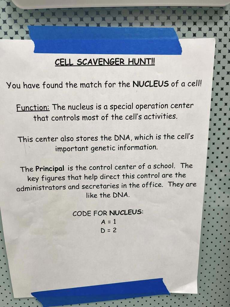 One of the scavenger hunt clues is pictured that says they have found the nucleus of the cell and what the function of a nucleus is.