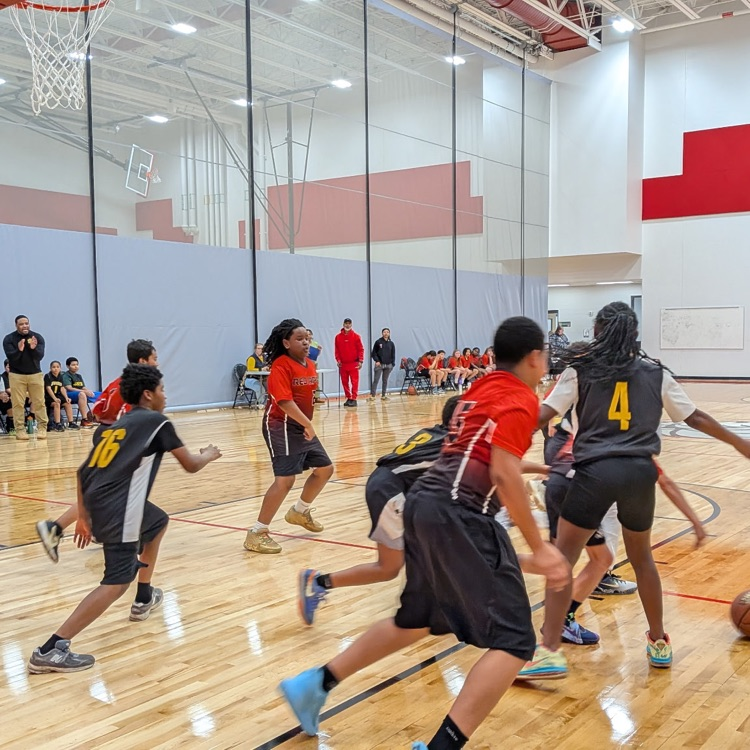 Players dive for the ball  