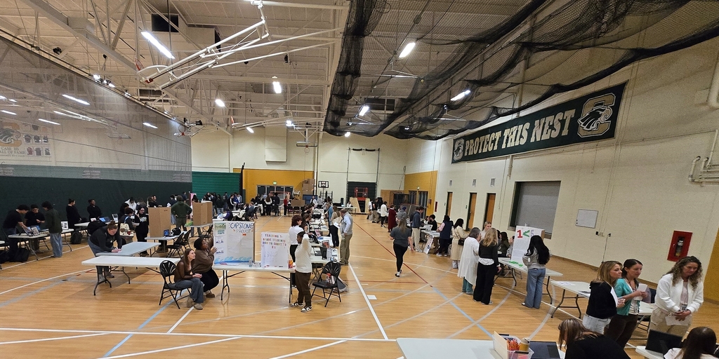 Capstone Day