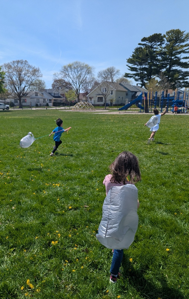 kite day