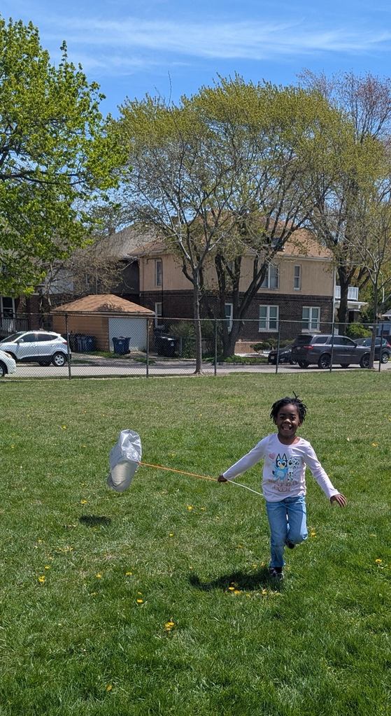 kite day