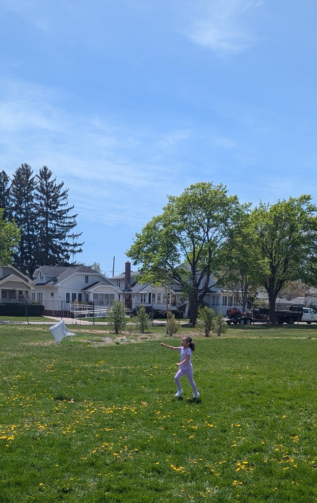 kite day